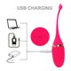 thumbnail image 1 of Bragas Control Remoto Inalámbrico Vibrador Huevos Vibradores Bolas Ponibles Punto G Masajeador De Clítoris Juguete Sexual Para Adultos Para Mujeres, 1 of 4