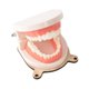 thumbnail image 4 of Juguete de Aprendizaje perfke Cepillado de dientes Modelo Material didáctico tablero ocupado, 4 of 9