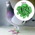 thumbnail image 1 of 50x 2023 Pigeon Leg Rings Bird Foot Bands for Rings Chicks Bantam Finch Bantam Finch Canary Grass Green, 1 of 9
