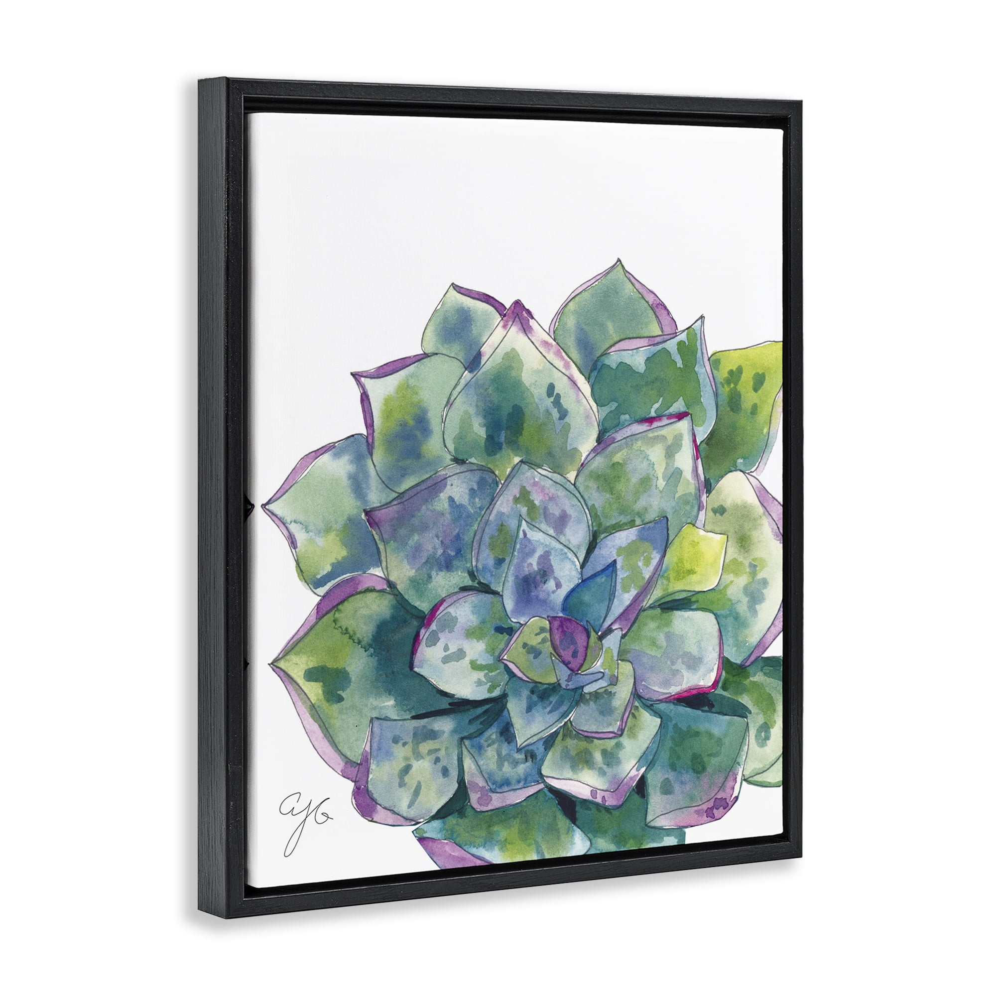 Stupell Industries Abstract Succulent Watercolor Botanical & Floral Painting Black Floater Framed Art Print Wall Art, 17 x 21