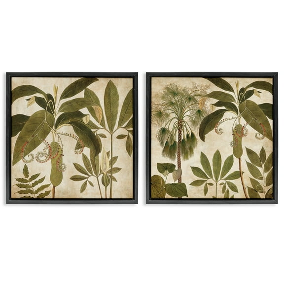 Stupell Industries Vintage Botanical Tropics Plants & Flowers Painting Black Floater Framed Canvas Art Print Wall Art, 18 x 18, Set of 2