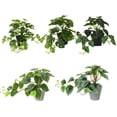 thumbnail image 3 of Plantas Artificiales Naiovety Hoja Planta Falsa para Decoración de Hogar y Boda, 3 of 6