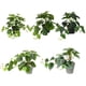 thumbnail image 4 of Plantas artificiales Matsuzay Hoja Planta falsa con maceta, 4 of 6