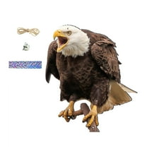 Tunhigl Realistic Hanging Eagle Decoration - Scarecrow Wind Chime for Garden, Balcony & Patio - Eco-Friendly Bird Repellent with Natural Deterrence