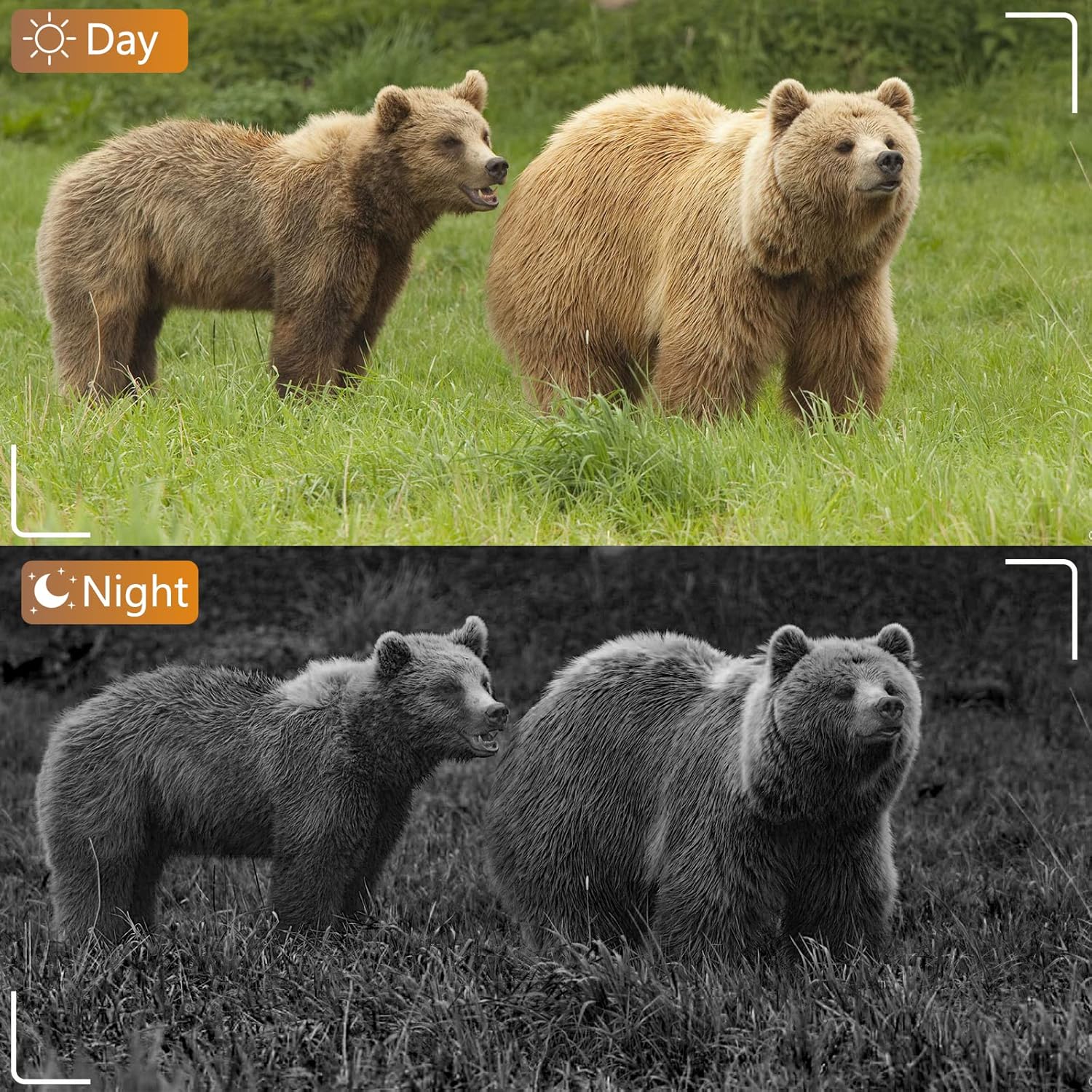BLAZEVIDEO WiFi Game & Trail Camera 64MP 1296P, Night Vision 0.1s Trigger Time Waterproof IP66 Motion Activated, App Controll Send Picture to Cell Phone for Hunting Wildlife, Home Surveillance