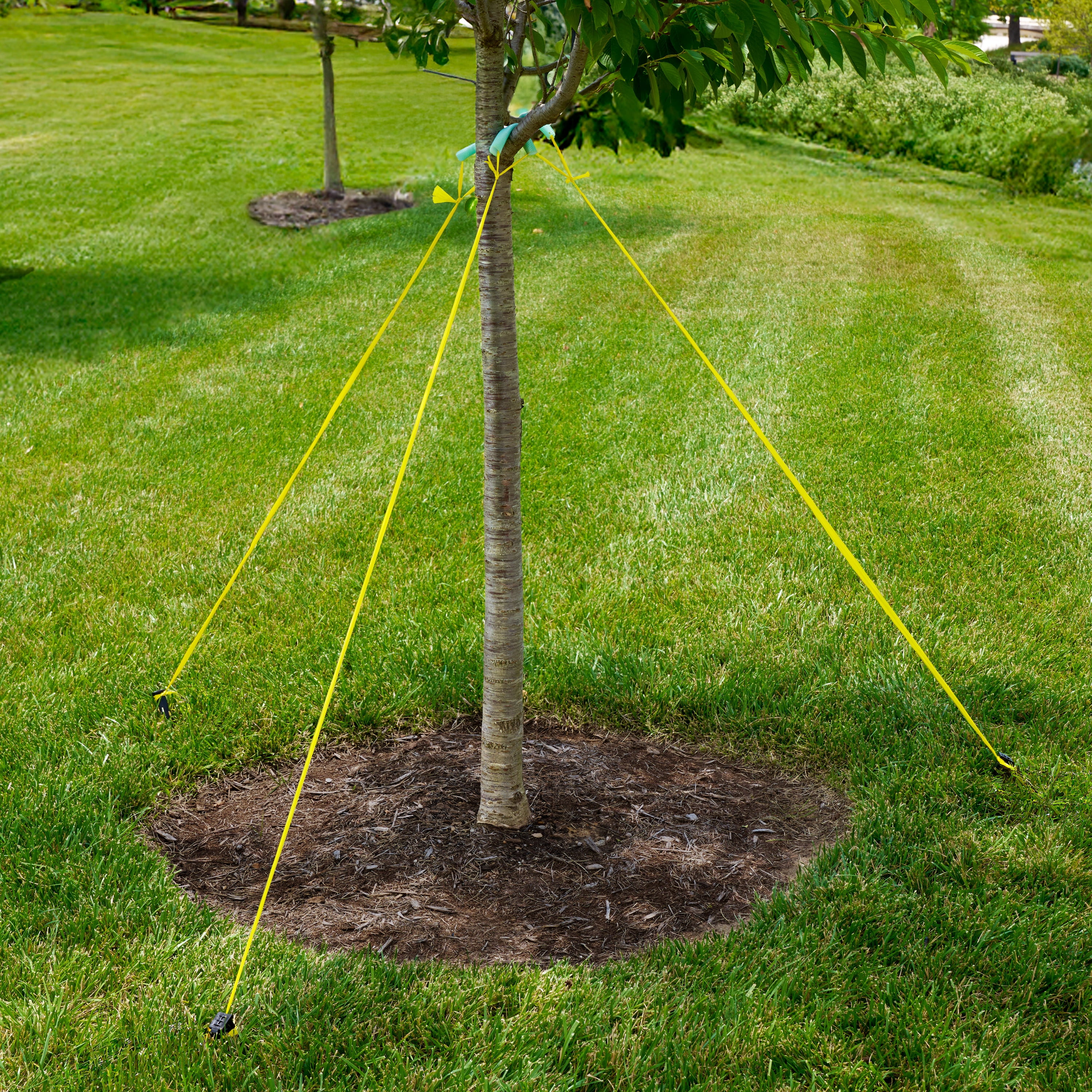 Expert Gardener 9in Tree Stake Kit with Rope and Tubes