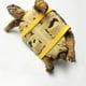 thumbnail image 4 of Arnés ajustable para mascotas pequeñas, correa para reptiles, tortugas y lagartos. Negro, 4 of 9