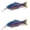 d, variant on Bisitoy 2Pcs Soft Plastic Fishing Lures Set with Tail for Crappie Panfish