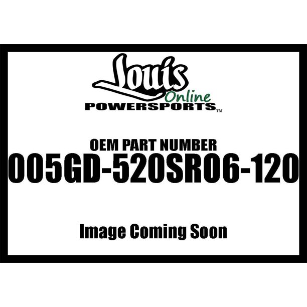 Ek Chain 120 Links520sro6x120 Gld Gld Chain 005gd 520sro6 120 New Walmart Com Walmart Com