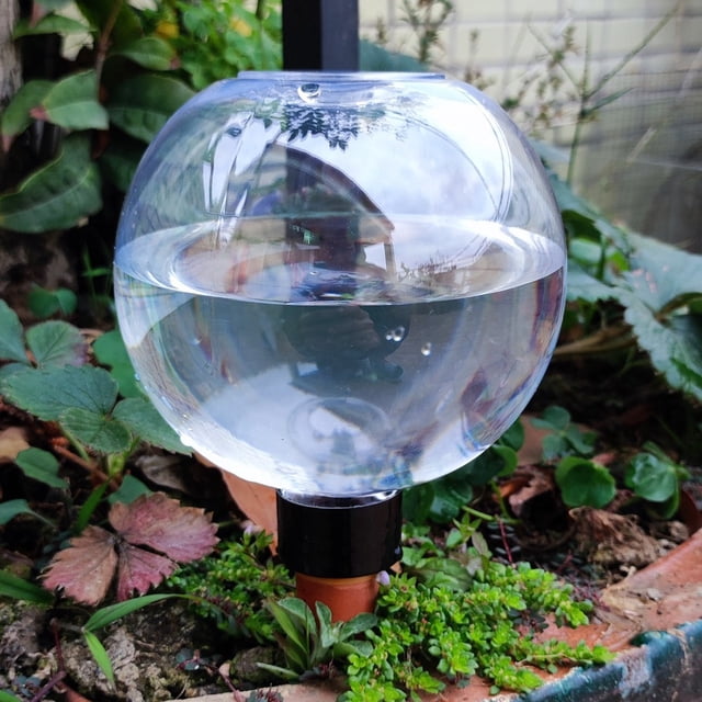 Globos de riego automático para plantas | Picos de riego automático de 500 ml para plantas en maceta y suculentas | Juego de 2 dispositivos de riego por goteo para jardines de interior y exterior