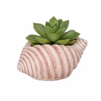 Isabelle Polyresin Seashell Planter
