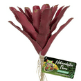thumbnail image 3 of Zoo Med Naturalistic Flora Fireball Bromeliad 1 count, 3 of 3