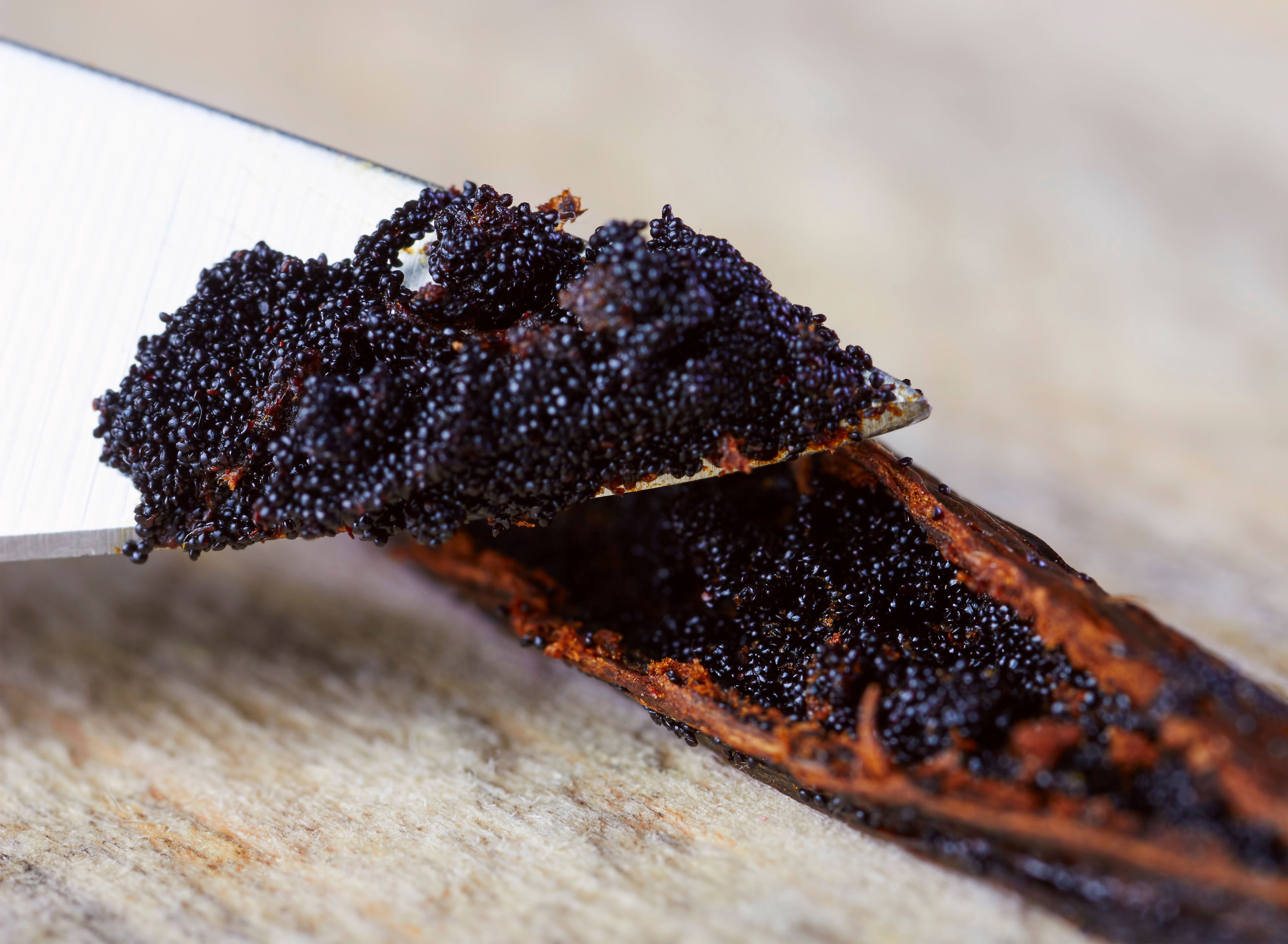 1/4 lb Vanilla Beans - Whole Gourmet Grade A Pods for Baking, Homemade Extract, Brewing, Coffee, Cooking - (Tahitian)