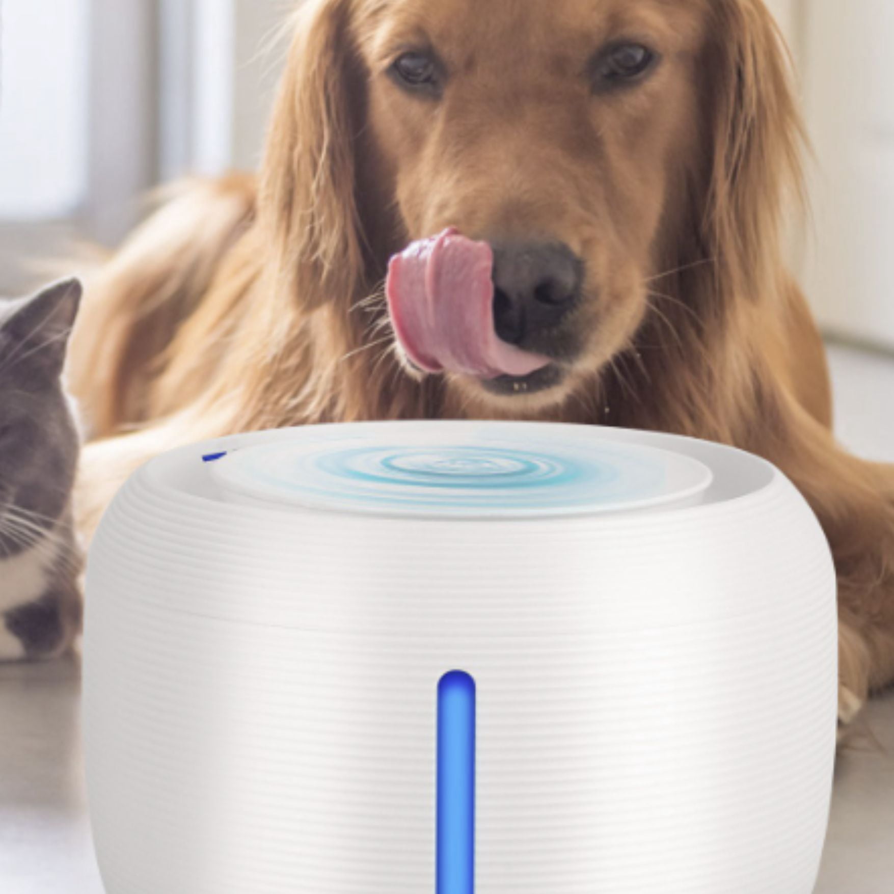 Pet Fountain Automatic Water, 85oz/2.5L Cat and Dog Fountain for Drinking,  Water Dispenser Bowl, Level Automatic, Provides Fresh, Filtered Water, Encouraging Hydration