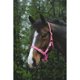 thumbnail image 2 of Saxon - Cabezada (Rosa), 2 of 2