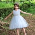 thumbnail image 3 of Vestido de princesa para niñas, vestido de novia de lunares, vestido pontón con lazo, vestido de fiesta de cumpleaños para niñas de flores, 3 of 6