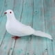 thumbnail image 1 of Falsas Plumas Artificiales De Espuma , Blanco, Palomas De Pie De Cola Pájaros artesanales con plumas, 1 of 8