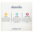 thumbnail image 2 of Nature's Way Farms Dianella Live Plant (18-24 in. Tall) in Grower Pot, 2 of 5