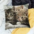 thumbnail image 2 of BANET Cute Cats Oblong Rectangle Kittens Family Cats Decorative Throw Pillow Case 12x12in, 2 of 5