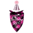 thumbnail image 3 of Pet Clothes Birthday Party Outfit Hat And Bandana For Cats Celebration Photo, 3 of 3