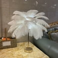 thumbnail image 3 of Ostrich Feather Night Light, Rechargeable Modern LED Decorative  Light with Feathers Dimmable Bedside Table Lamp Touch Switch Ostrich Feather Lamp for Bedroom Nightstand, 3 of 8