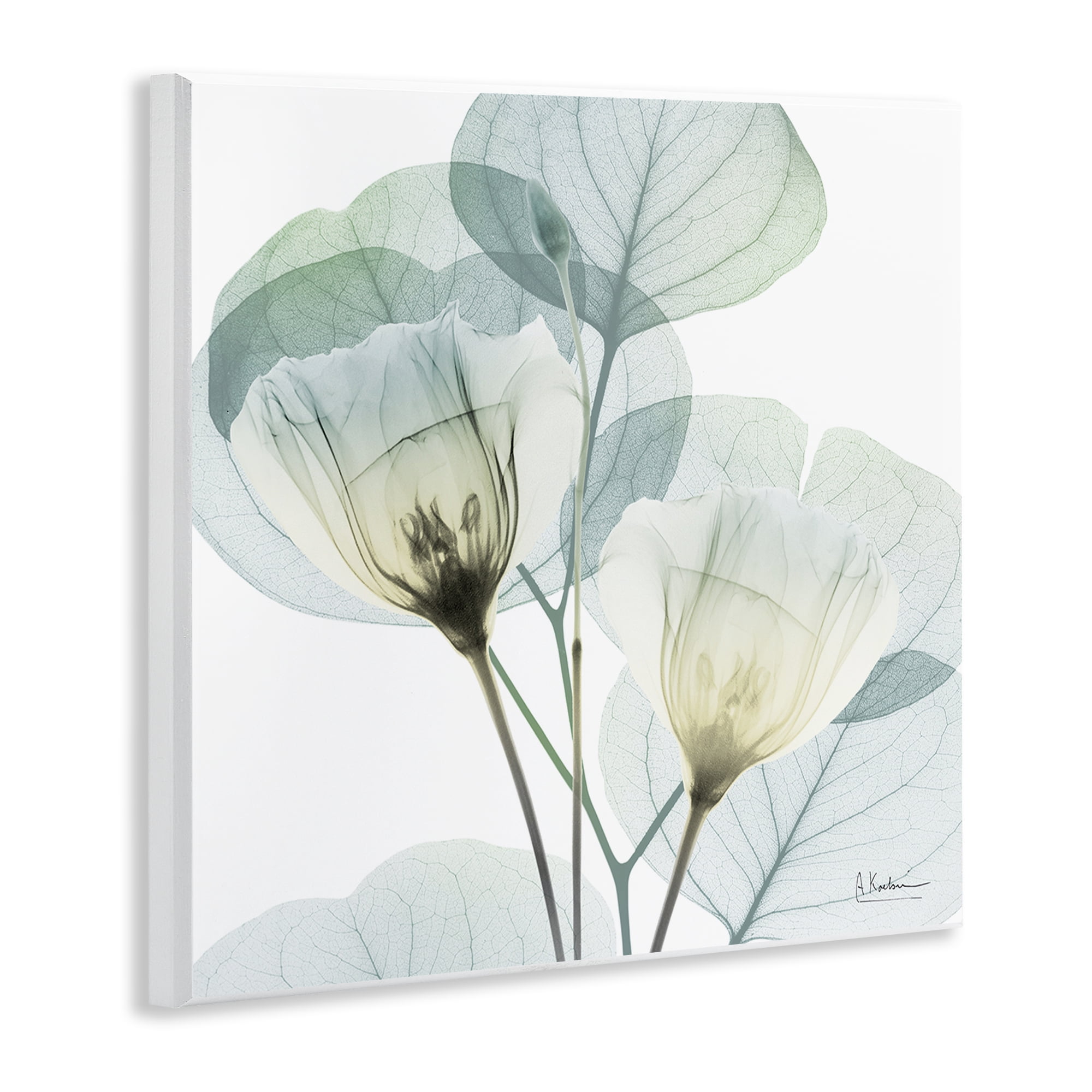 Stupell Industries Divine Fate Flower Leaves Wall Plaque Art, design by Albert Koetsier