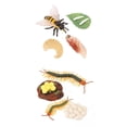 thumbnail image 1 of Ciempiés de plástico realista Sunnimix Juego educativo de biología ciclo de 4, 1 of 8