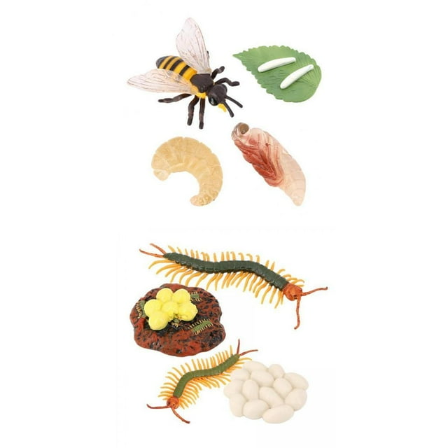 Ciempiés de plástico realista Sunnimix Juego educativo de biología ciclo de 4