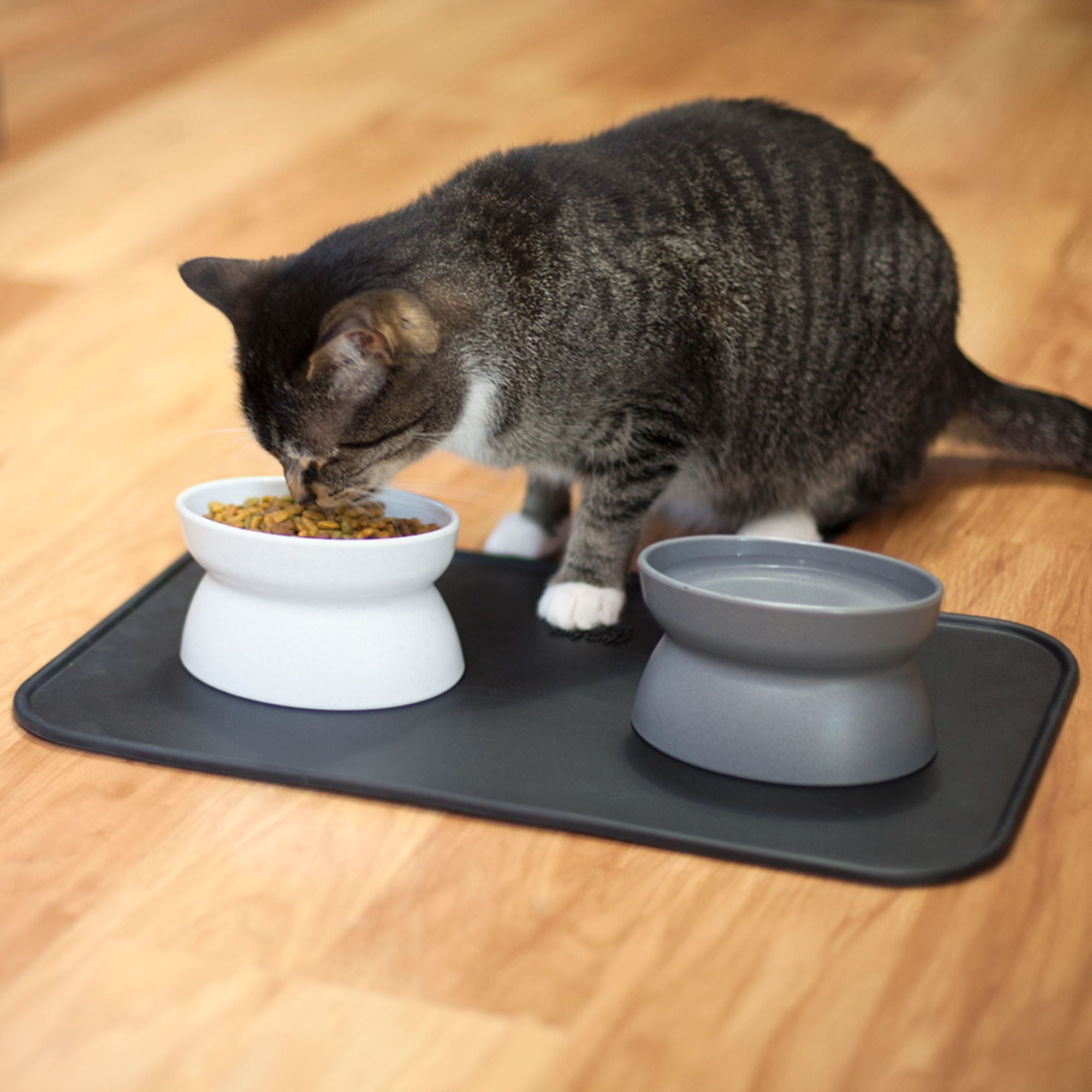Kitty City Elevated Whisker-Friendly Cat Bowls, Dishwasher Safe Plastic with Non-Skid Placemat, 3-Pack