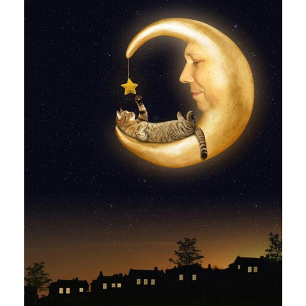 Diamond Painting (DB7149) 5D DIY Square Kit Night Moon Rhinestone (V1096) 45x60cm FLhrweasw Nuevo