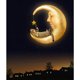 thumbnail image 1 of Diamond Painting (DB7149) 5D DIY Square Kit Night Moon Rhinestone (V1096) 45x60cm FLhrweasw Nuevo, 1 of 1
