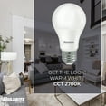 thumbnail image 3 of Bulbrite LED Filament Pack of (4) 9 Watt Dimmable A19 Light Bulb with Frost Glass Finish and Medium (E26) Base - 2700K (Warm White Light), 800 Lumens, 3 of 7
