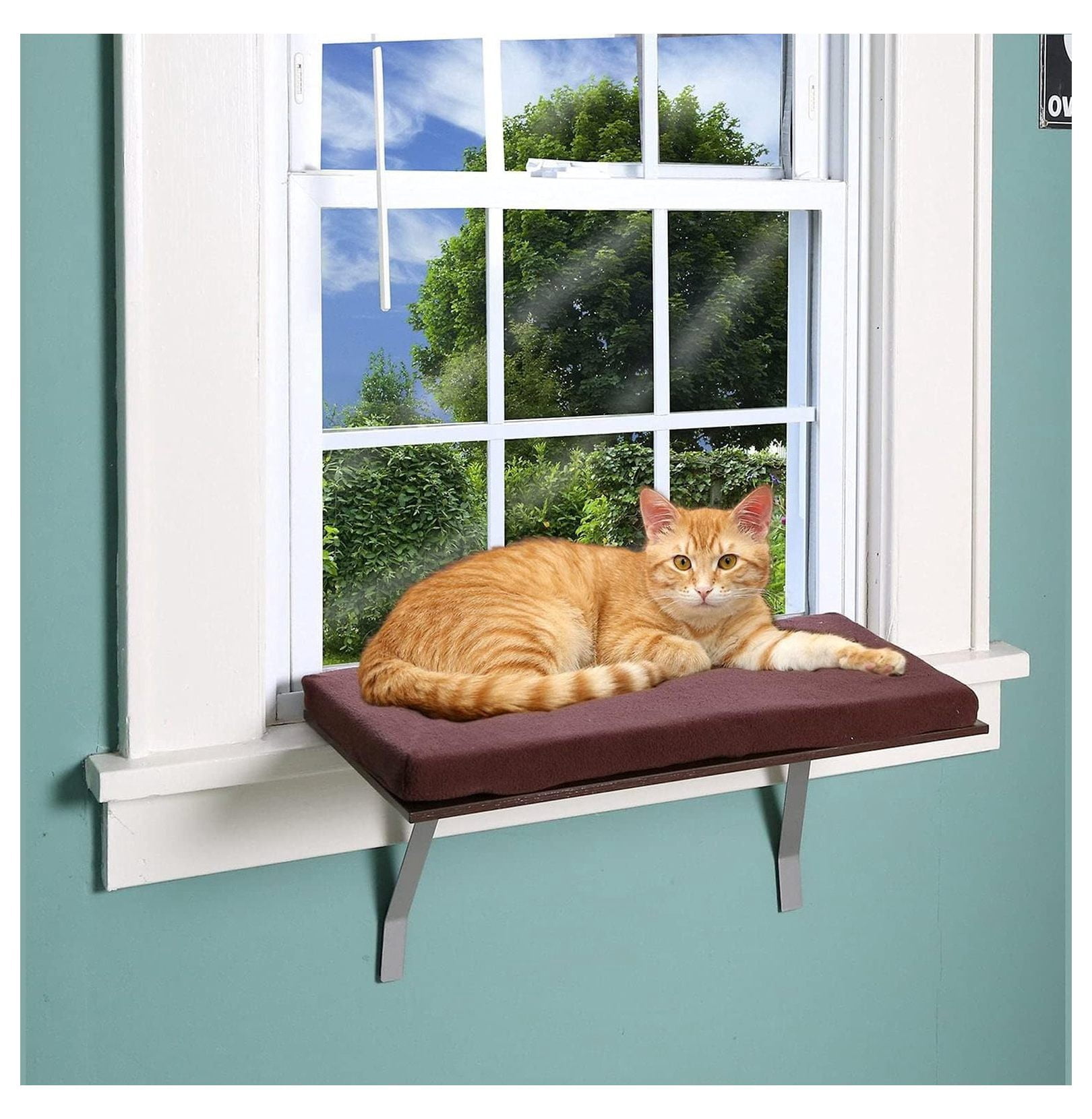 at Window Perch seat: Sunny Kitty Window Sill Shelf, with Fleece Foam Cushion & Washable Cover