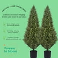 thumbnail image 5 of 1 Pcs 4FT Artificial Cedar Tree for Indoor and Outdoor Use,Artificial Tree Faux Cedar Tree,Faux Evergreen Plants,Faux Cedar Tree Pine Tree in Nursery Planter with UV Resistant Coating, 5 of 5