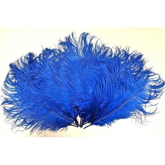Blue Ostrich Feathers 8-12 per Six (6)