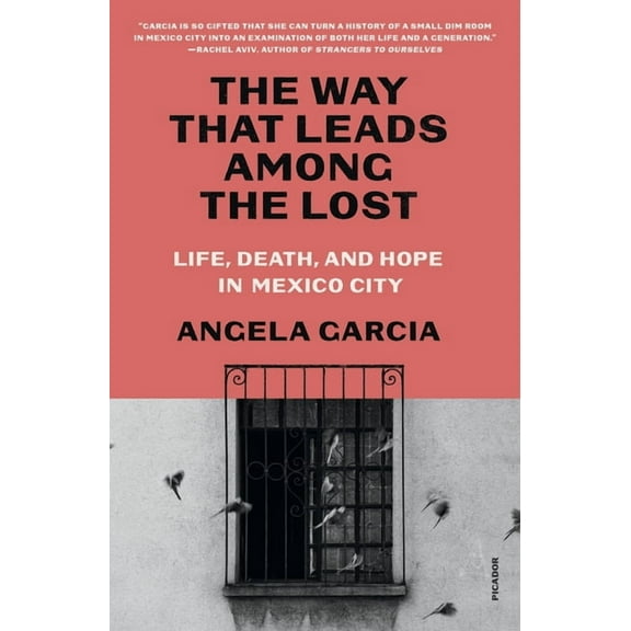 The Way That Leads Among the Lost: Life, Death, and Hope in Mexico City, (Paperback)