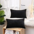 thumbnail image 2 of Holzlrgus Chenille Soft Throw Pillow Covers 12x20 Set of 2, Lumbar Velvet Farmhouse Pillow Covers, Decorative Pillow Covers with Stitched Edge for Couch Sofa Bed, Black, 2 of 7