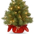 thumbnail image 4 of Árbol de Navidad National Tree Company Majestic Fir 60 cm, 4 of 6