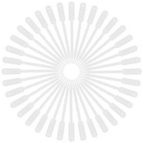 Worgeous Pipette Liquid Transfer Plastic 100Pcs 6.1X0.4X0.4In