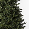 thumbnail image 5 of Vickerman 8.5' x 64" Welch Fraser Fir Artificial Christmas Tree with Warm White Dura-lit LED Lights, 5 of 7