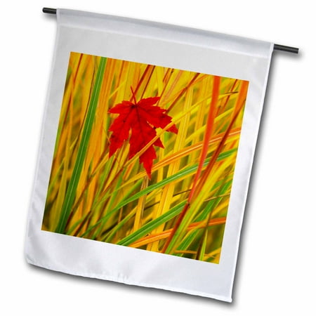 Outdoor Furniture Stores Portland Oregon 3dRose Oregon, Portland, Silver maple tree flora - US38 BJA0049 - Jaynes Gallery - Garden Flag, 18 by 27-inch ()
