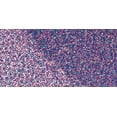 thumbnail image 2 of DecoArt Glamour Dust Glitter Paint 2oz-Purple Passion, 2 of 2