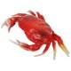 thumbnail image 1 of Cangrejo Artificial Realista Wayber W CRAB L Decorativo Plastico Grande 33x22 cm, 1 of 5