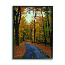 Stupell Industries Autumn Road Forest Landscape Photograph Framed Wall Art by Joseph Elliott