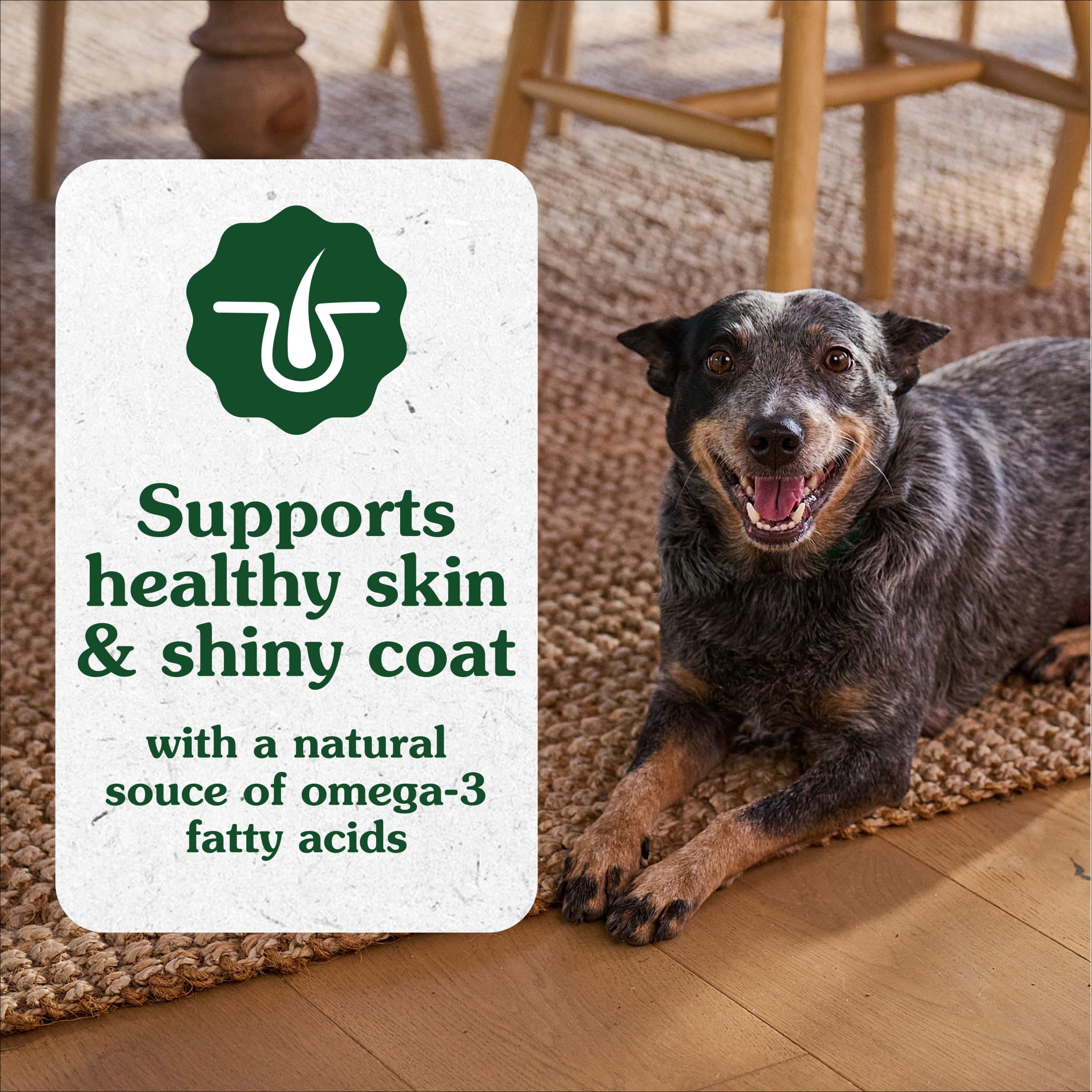 Greenies Dog Skin and Coat Supplements With Fish Oil, Chicken Flavor Soft Dog Chews, 7.37 oz Pouch