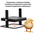 thumbnail image 1 of Smart Chick Incubator Heater, Constant Temperature, Adjustable Height, Heating Plate for Chicks and Ducklings, EU Plug 195-245V, 1 of 2