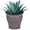 Cappuccino Beige, variant on Headwind Natural Ironstone Timberline Collection - 6" Slate Grey Decorative Planter for Outdoor Pots for Plants – Modern Indoor Plant Pots, Large & Small Planters for Indoor Plants by Robert Allen