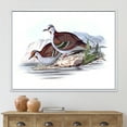 thumbnail image 2 of Designart 'Ancient Australian Birds IX' Traditional Framed Canvas Wall Art Print, 2 of 5