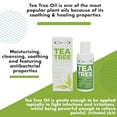 thumbnail image 4 of The Eye Doctor Tea Tree Lid Cleanser 100ml – Daily Eyelid Hygiene Remove Debris & Make-up Eyelid Eyelashes – Suitable for Sensitive Eyes – Contains Tea Tree Oil Argan Oil Coconut Oil & Micellar Water, 4 of 7