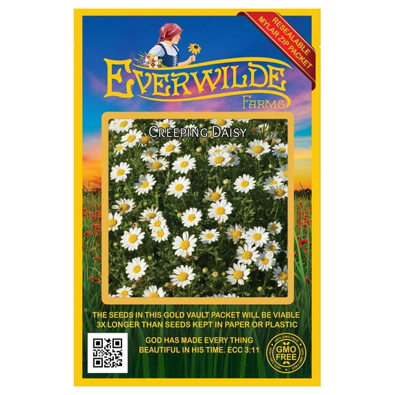 Everwilde Farms - 2000 Creeping Daisy Garden Flower Seeds - Gold Vault Jumbo Bulk Seed Packet